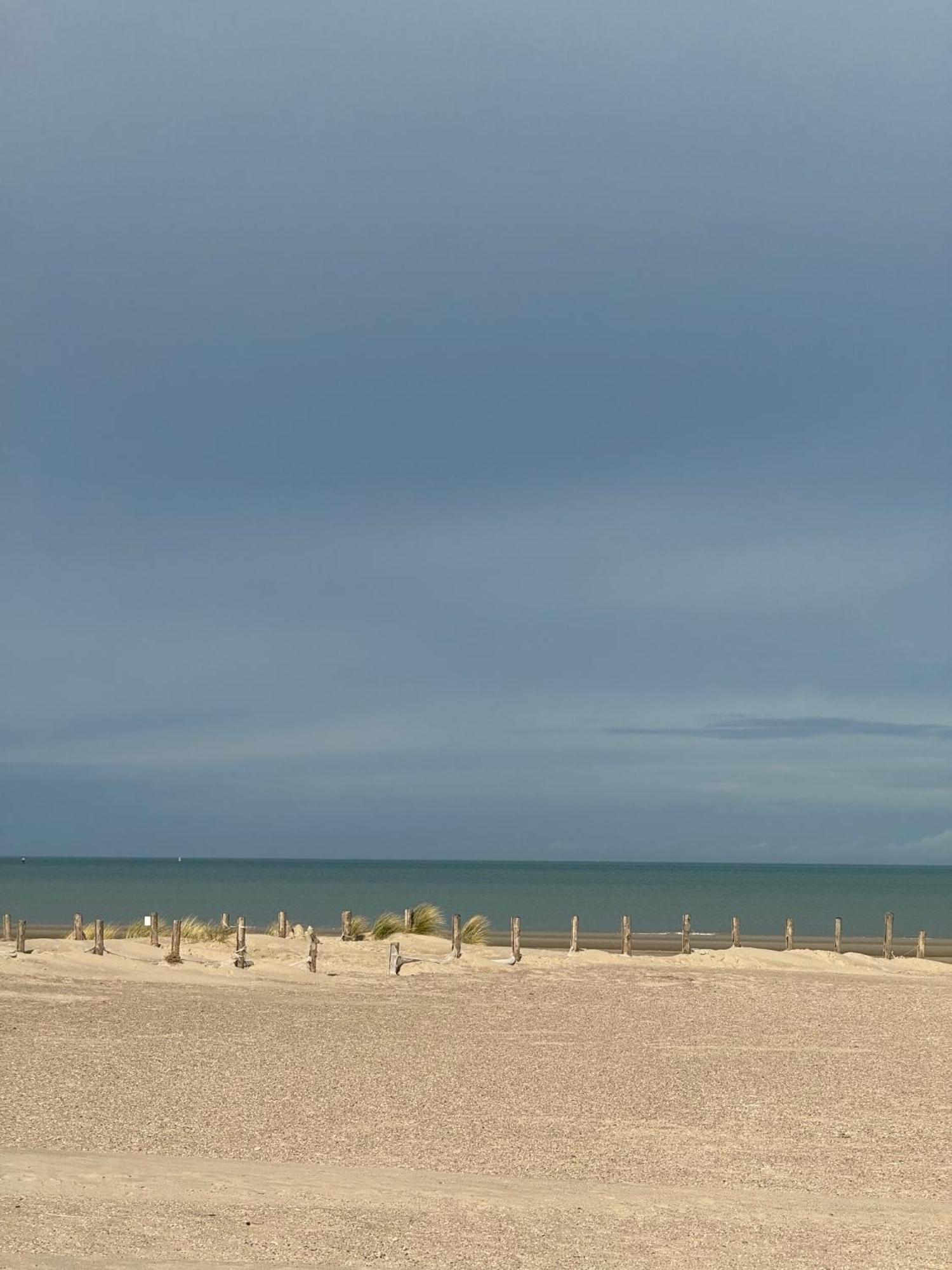 Maison Belle Rade : La Balise Malo-les-Bains Exteriör bild